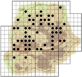 Rhoicissus revoilii Waterberg distribution